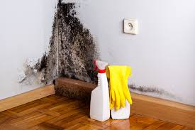 Best Mold Odor Removal Services  in Quail Ridge, FL